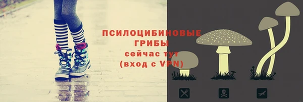 мяу мяу мука Нефтекумск
