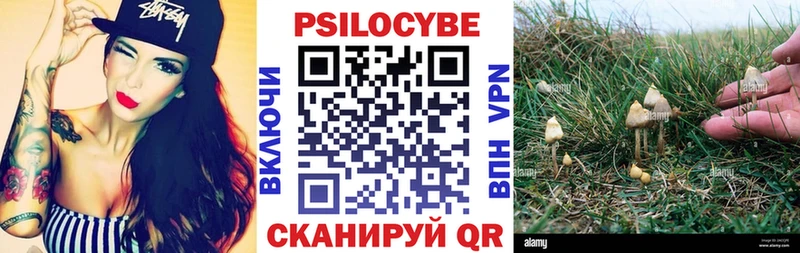 как найти закладки  Самара  Галлюциногенные грибы GOLDEN TEACHER 