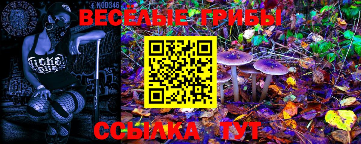 Галлюциногенные грибы Psilocybe Самара