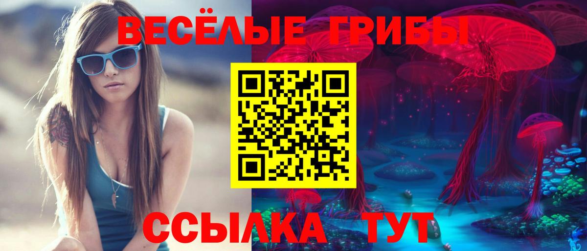 Самара  Галлюциногенные грибы Magic Shrooms  Вход с VPN 