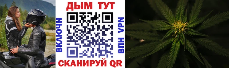 Бошки Шишки VHQ Самара